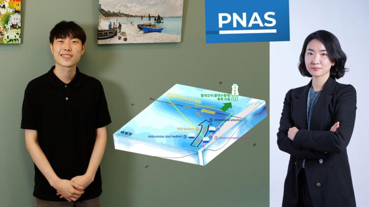 Subtropical Clouds Key to Southern Ocean Teleconnections to the Tropical Pacific